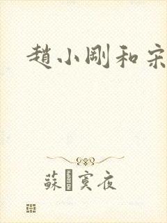 赵小刚和宋雨晴