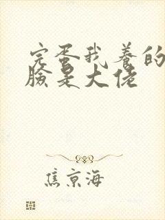 完蛋我养的小白脸是大佬