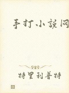 手打小说网