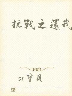 抗战之还我河山封面