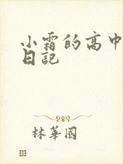 小霜的高中成长日记封面