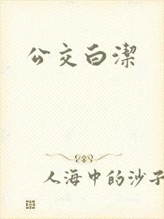 公交白洁