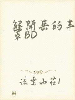 解开岳的丰满奶罩BD