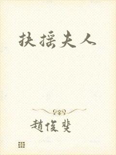 扶摇夫人封面