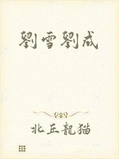 刘雪刘成封面