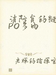 消防员的糙汉文PO多肉