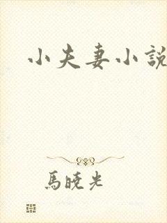 小夫妻小说