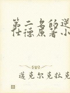 第二名的逆袭高仕德原著小说