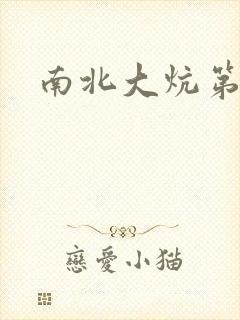 南北大炕第一部