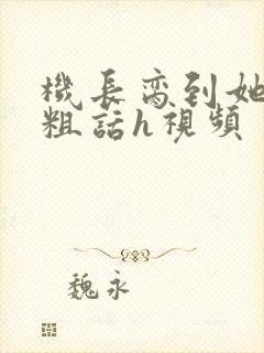 机长脔到她哭h粗话h视频