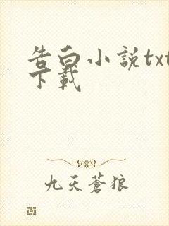 告白小说txt下载