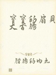 宝宝的扇贝想吃大香肠