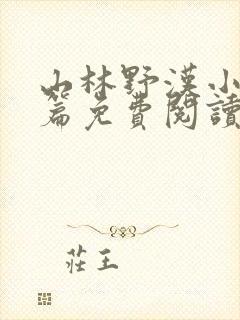 山林野汉小说全篇免费阅读封面