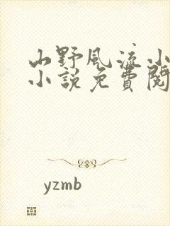 山野风流小神医小说免费阅读