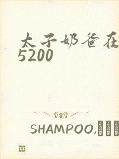 太子奶爸在花都5200封面