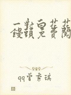 一对白花花的大馒头免费阅读封面