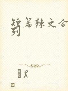 短篇辣文合集系列