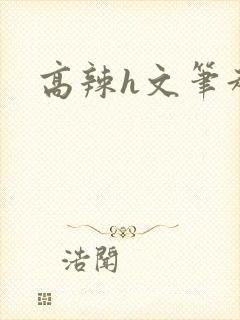 高辣h文笔趣阁