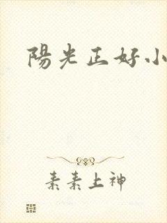 阳光正好小说封面