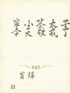 宁小茶太子殿下今天破戒了吗免费阅读