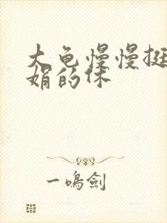 大龟慢慢挺进张娟的休封面