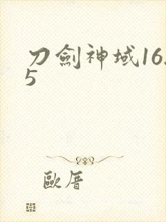 刀剑神域16.5