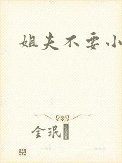 姐夫不要小说