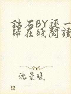 钻石BY逐一而归在线阅读封面