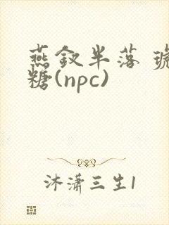 燕钗半落 琥珀糖(npc)