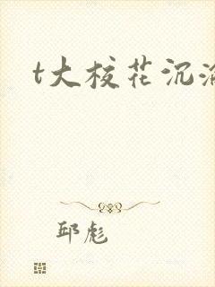 t大校花沉沦封面