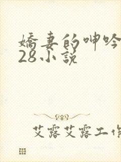 娇妻的呻吟1—28小说