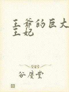 王爷的巨大进入王妃