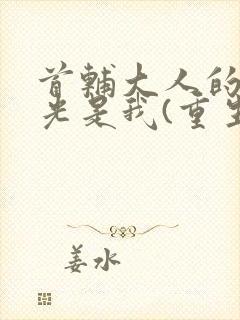 首辅大人的白月光是我(重生)