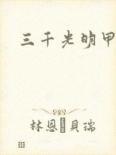 三千光明甲封面
