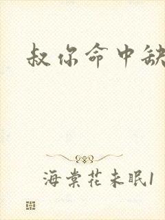 叔你命中缺我封面