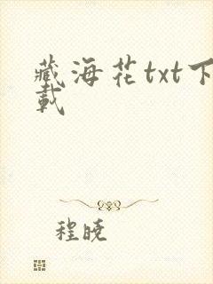 藏海花txt下载