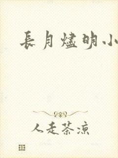 长月烬明小说封面