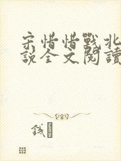 宋惜惜战北望小说全文阅读