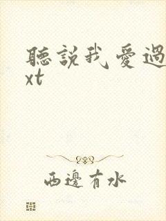 听说我爱过你txt