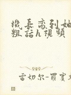 机长脔到她哭h粗话h视频封面