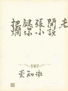 把腿张开老子臊烂你小说