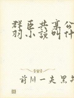 群臣共享公主银羽小说叫什么