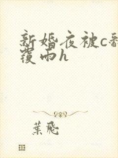 新婚夜被c翻云覆雨h