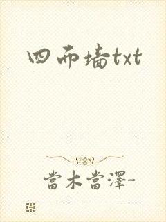 四面墙txt