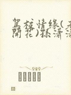 驾校情缘(老树开花)孙潇潇第一次趣笔阁封面