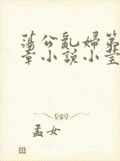 荡公乱妇第51章小说小莹