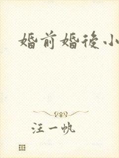 婚前婚后小说