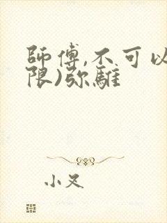 师傅,不可以(限)弥骓封面