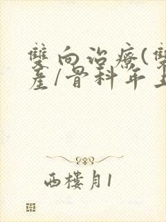 双向治疗(双/产/骨科年上)