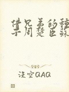 借兄弟的种生孩子周楚臣苏糖